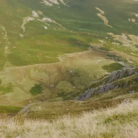 Bonny Brae ゲストハウス ウィンダミア